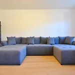 Luxurious & Spacious Residence In The Heart Of Brasov