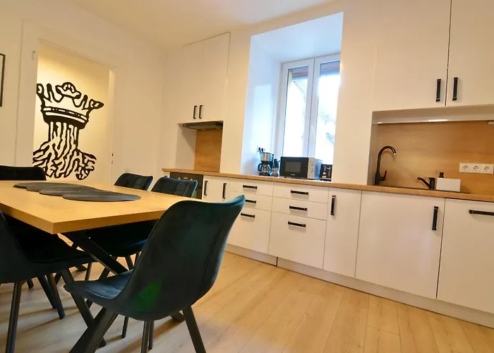 Luxurious & Spacious Residence In The Heart Of Brasov