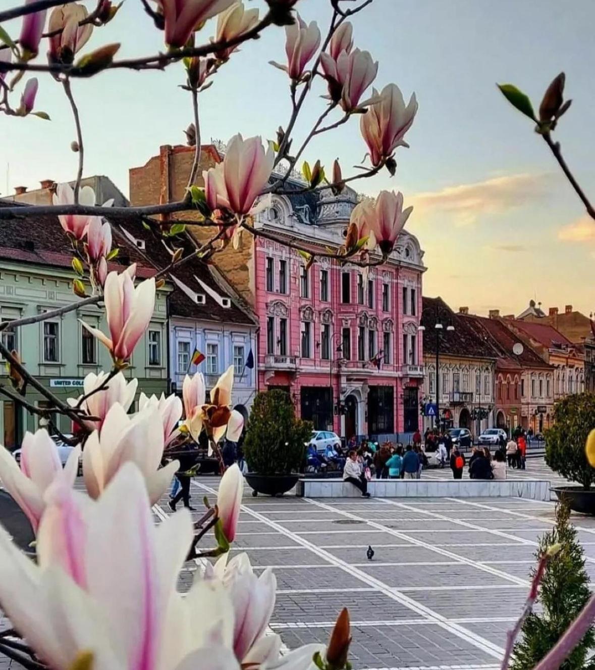 Luxurious & Spacious In The Heart Of Brasov